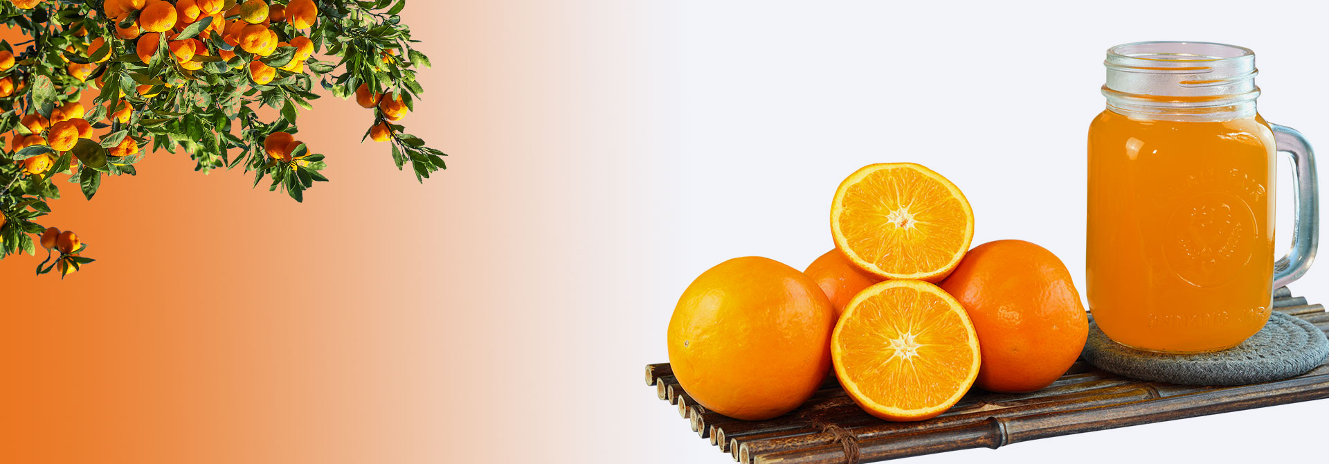 企業(yè)風(fēng)采