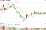 百萬(wàn)年薪副總裁涉嫌偽造公司印章被立案，濟(jì)民健康開盤跌停