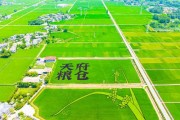 都江堰灌區：守護“天府糧倉”的水命脈