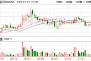 兆新股份申請拍賣富康礦業所持青海錦泰15%股權 起拍價5.4億元