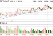 航天彩虹：2025年半年度凈利潤(rùn)約-49萬元