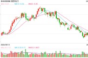 70億元！ 社保基金再出手，戰(zhàn)略投資國(guó)投電力