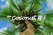 面向未來十年，NT.Coconut 椰子 樂道智能系統正式發布