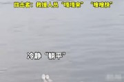 西湖驚現女子"躺平式"求救，救援人員迅速反應成功施救