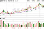 威奧股份：宿青燕累計質押公司股份數量為6550萬股