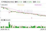 天齊鋰業：上半年預虧48.8億元～55.3億元