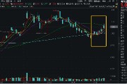 業績“點贊”！洛陽鉬業歸母凈利預增6-7倍，黃金個股業績預喜，有色龍頭ETF（159876）盤中逆市上探1.57%