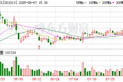 利和興：選舉李麗紅女士為公司第四屆董事會(huì)職工代表董事