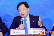 協(xié)鑫集團(tuán)朱共山：只有出海才能消納中國(guó)光伏行業(yè)現(xiàn)在的產(chǎn)能