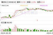 魯西化工：上半年凈利潤同比預增467.04%-518.59%