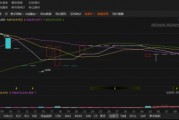 中孚環境資金占用曝光！散戶和定增投資者均可索賠