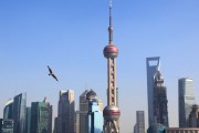 “光PPT就做了上百頁”！上海三大產業先導基金再出手17只子基金