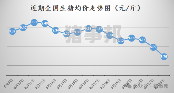 豬事邦|| 6月23日豬價匯總（周均價連續6周上漲后下跌！）