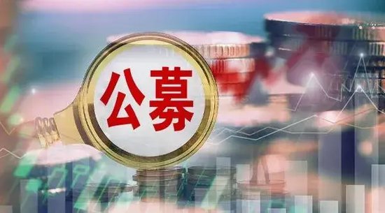 公募緊抓
