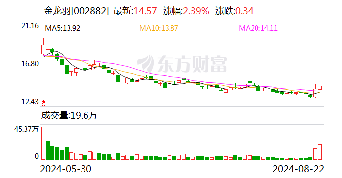 注意！金龍羽將于9月9日召開股東大會