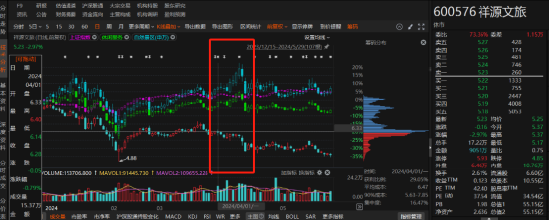 祥源文旅非經(jīng)營性資金占用雖已歸還，但仍被出具警示函！