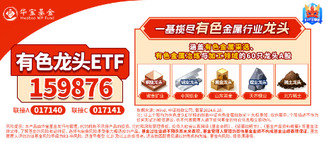 黃金強(qiáng)勢(shì)歸來(lái)？時(shí)隔半年，央行再次出手增持黃金！有色龍頭ETF（159876）盤中漲超1．1%，釩鈦股份漲停封板