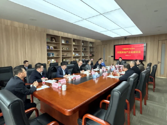 中國房地產(chǎn)業(yè)協(xié)會召開民營房地產(chǎn)企業(yè)座談會 龍湖、旭輝等企業(yè)代表參加