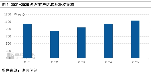 【面積評(píng)估】2025季河南產(chǎn)區(qū)新花生播種面積維持回升態(tài)勢